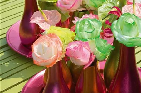 DIE TOP 8 DER SOMMERBLUMEN